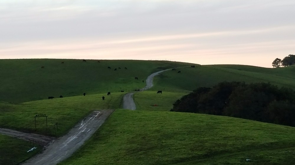 San Luis Obispo California